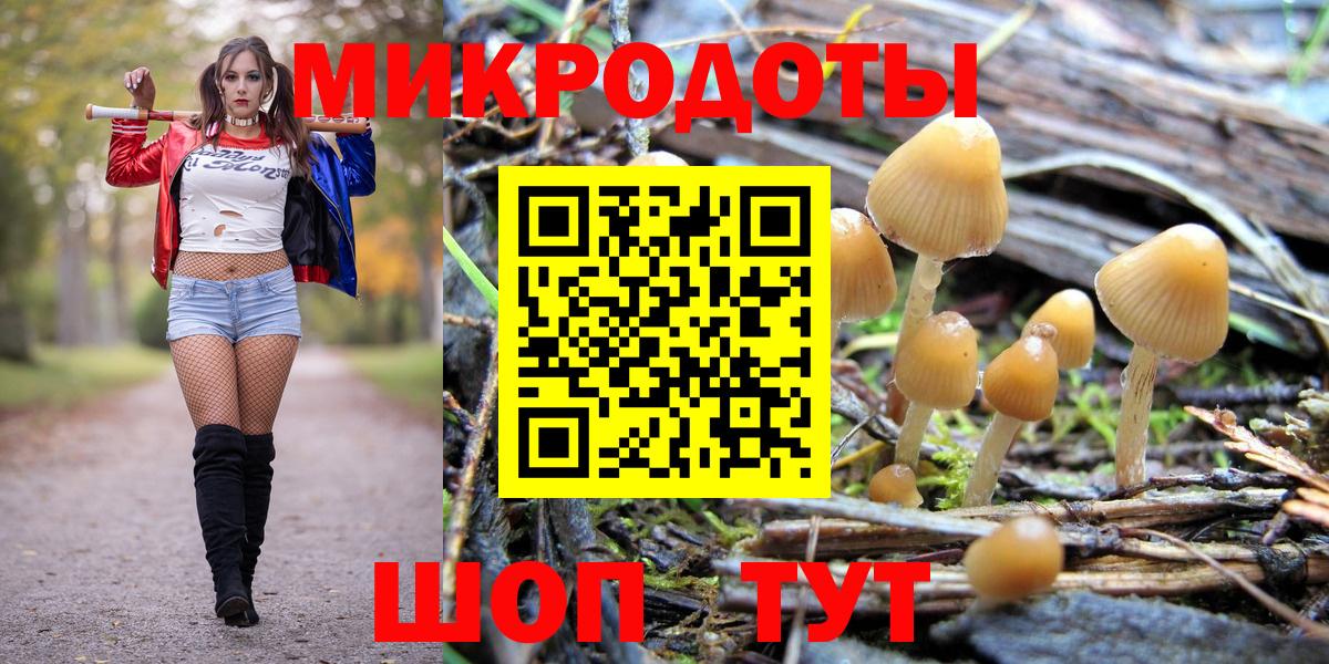 Псилоцибиновые грибы MAGIC MUSHROOMS Кохма
