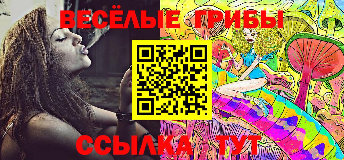 Псилоцибиновые грибы MAGIC MUSHROOMS  Галлюциногенные грибы Psilocybe  Вход с VPN  Кохма 